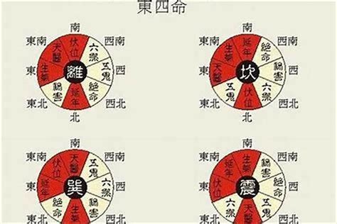 东四命|东四命之人究竟有着怎样的命运走向